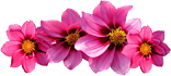 flower-icon